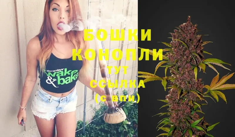 Бошки Шишки OG Kush  Коряжма 